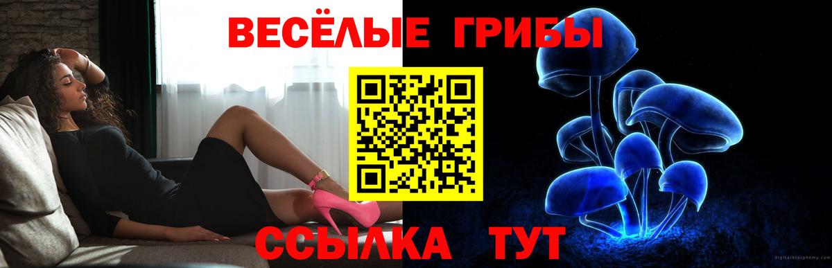 Галлюциногенные грибы ЛСД  где можно купить   Искитим  Вход с VPN 