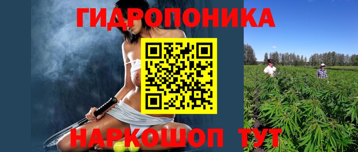 Каннабис Amnesia  Каннабис ГИДРОПОН  Бошки Шишки Amnesia  Искитим  Вход с VPN 